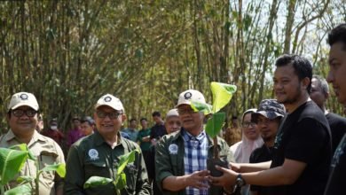 Peringati Hari Tani Nasional, MPM PWM DIY Ajak Jihad Kedaulatan Pangan