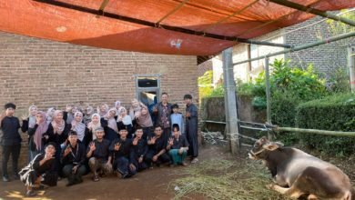 Berlangsung di Kampung Baros, PAI UM Bandung Kembali Gelar Berkah Kurban