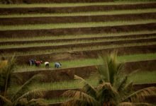 Refleksi 64 tahun UUPA 1960: Warisan krisis Agraria dan Praktik Reforma Agraria Pasca Perubahan Politik 2024