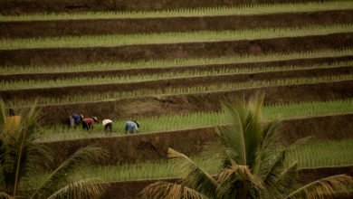 Refleksi 64 tahun UUPA 1960: Warisan krisis Agraria dan Praktik Reforma Agraria Pasca Perubahan Politik 2024