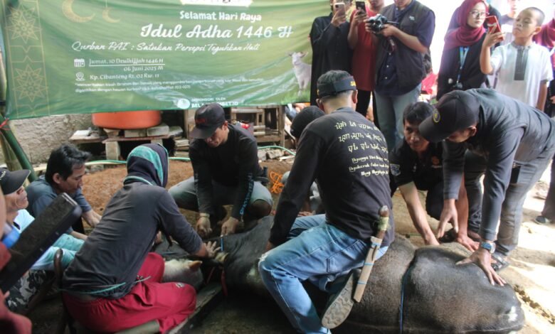 Tebar Kebaikan, PAI UM Bandung Gelar Kurban Sapi di Kampung Cibanteng Tebar Kebaikan, PAI UM Bandung Gelar Kurban Sapi di Kampung Cibanteng
