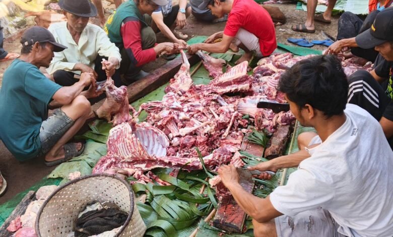 Kurban yang Menghidupkan Kebersamaan, PAI UM Bandung Pererat Ukhuwah di Kampung Cicangri Kurban yang Menghidupkan Kebersamaan, PAI UM Bandung Pererat Ukhuwah di Kampung Cicangri